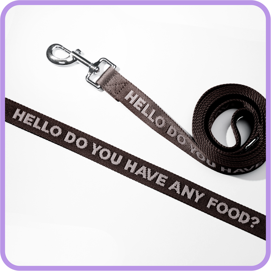 Any Food Dog Leash (Black)