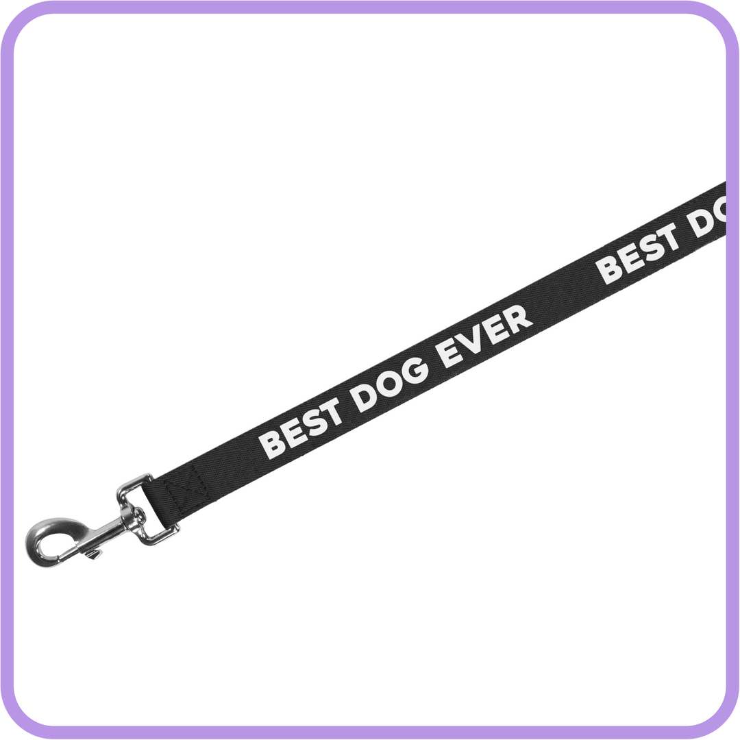 Best Dog Ever Dog Leash (Black)