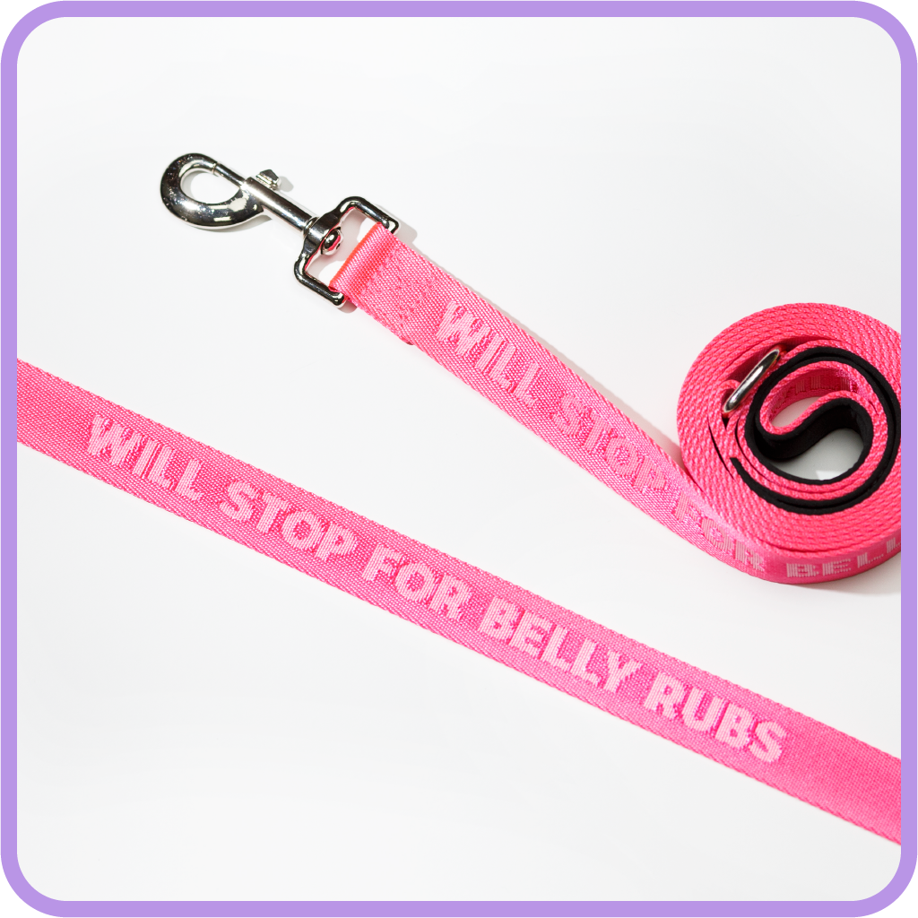 Off white dog leash pink online