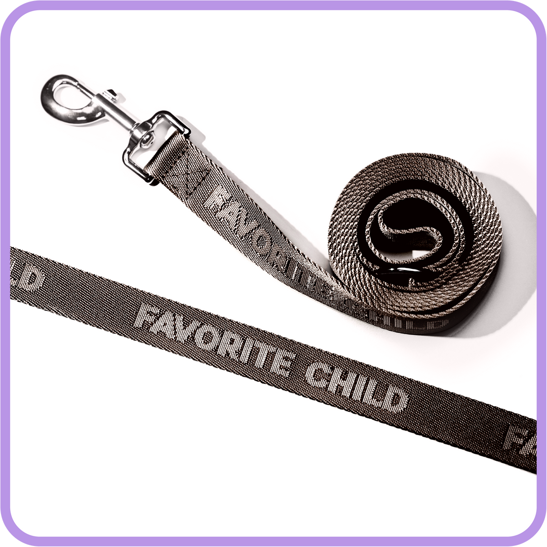Favorite Child Dog Leash (Black)