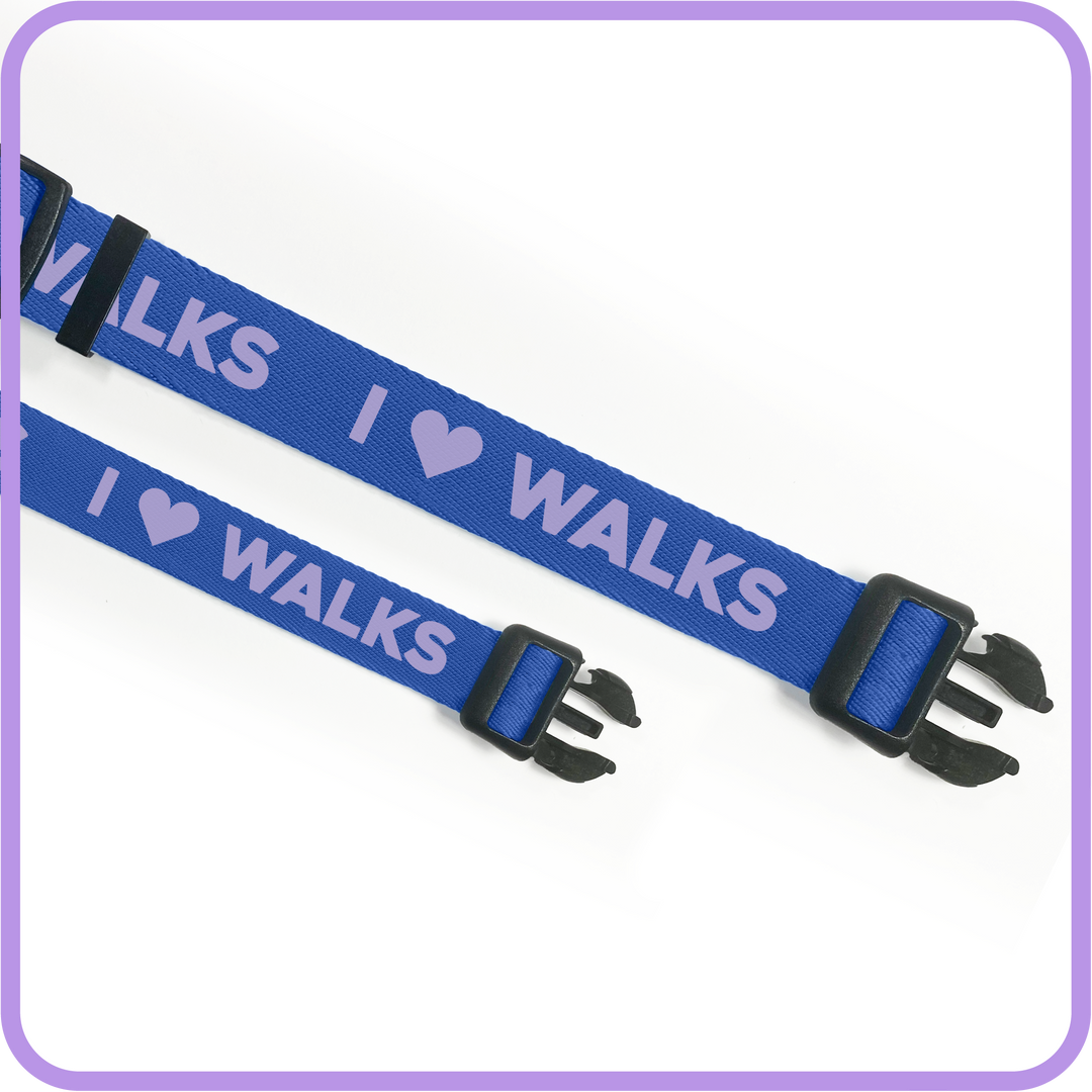 I Love Walks (Blue) Dog Collar