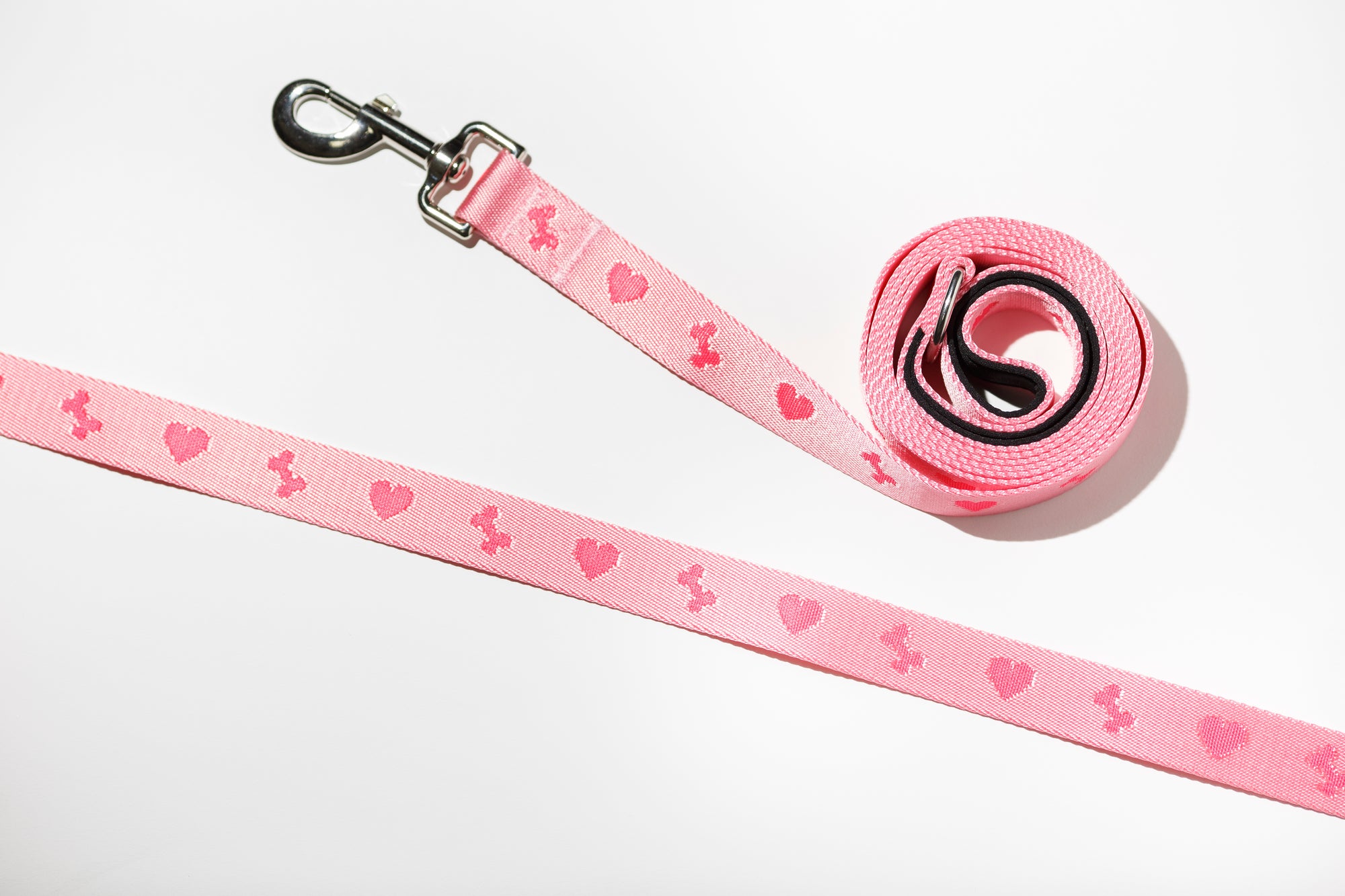 Bones & Hearts Dog Leash
