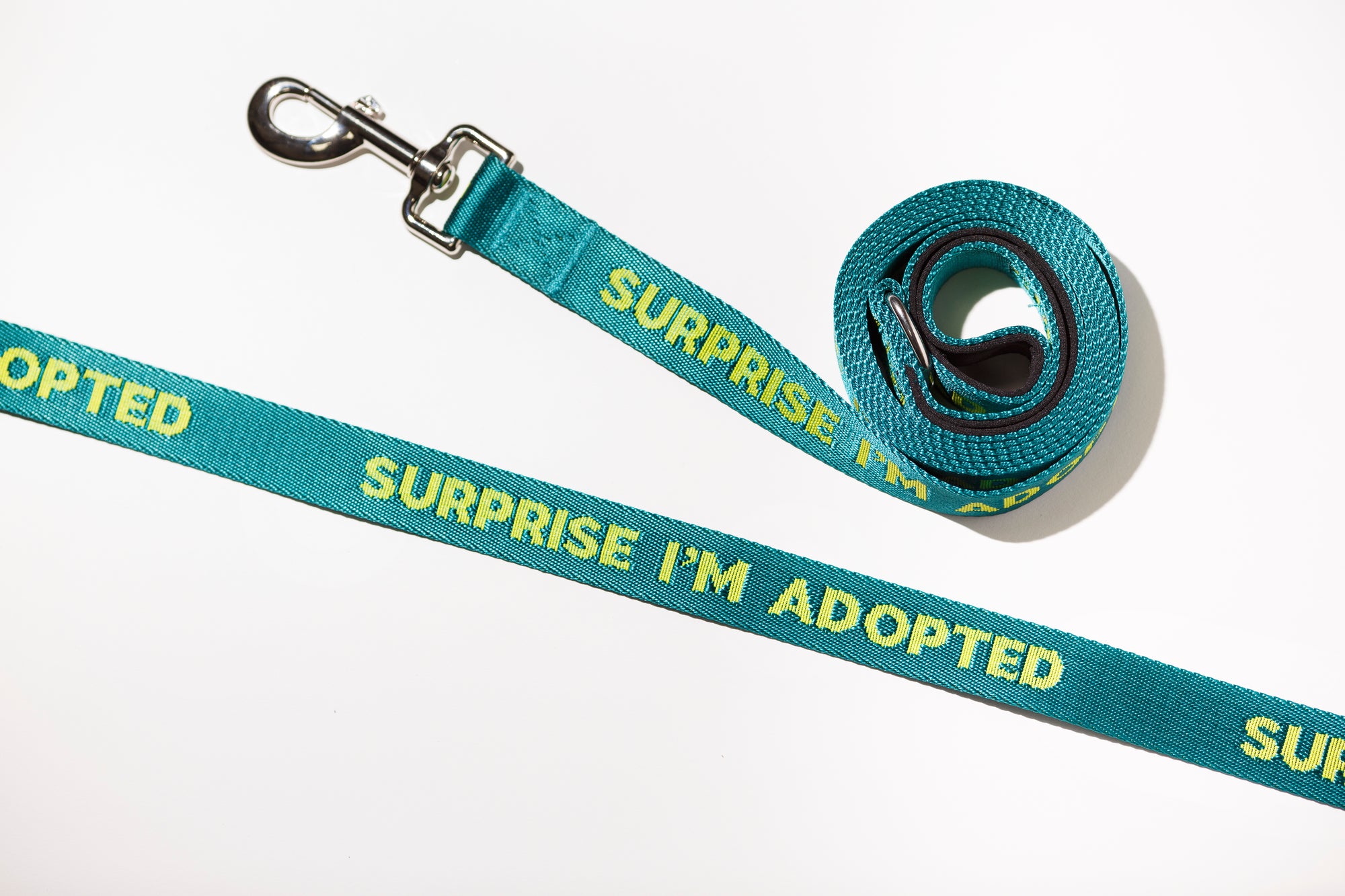 Surprise Adopted Dog Leash