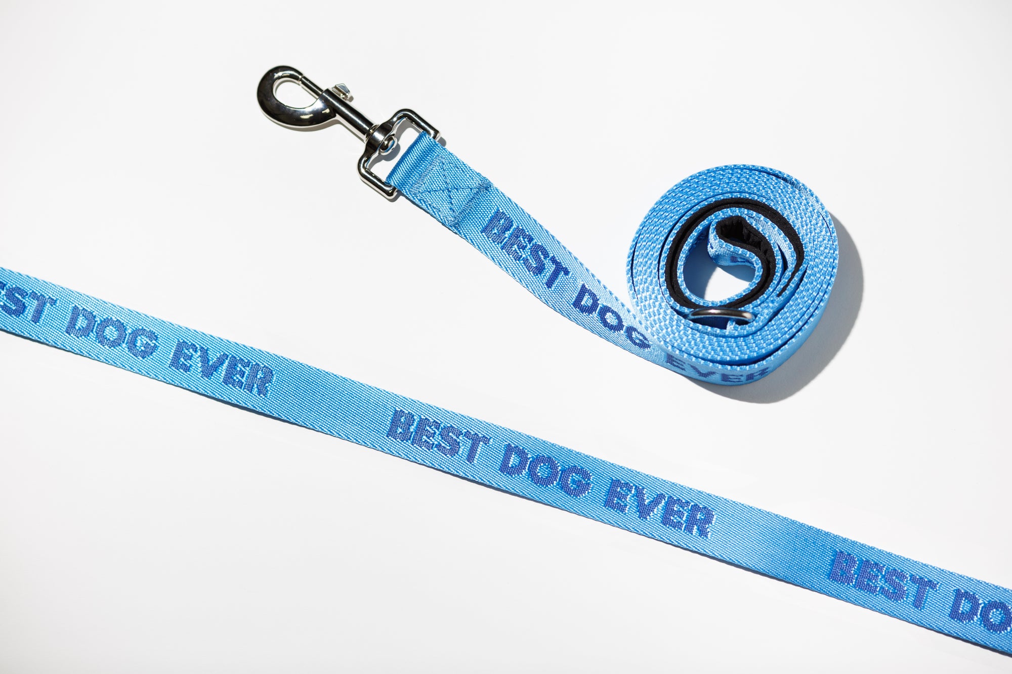 Best Dog Ever Dog Leash