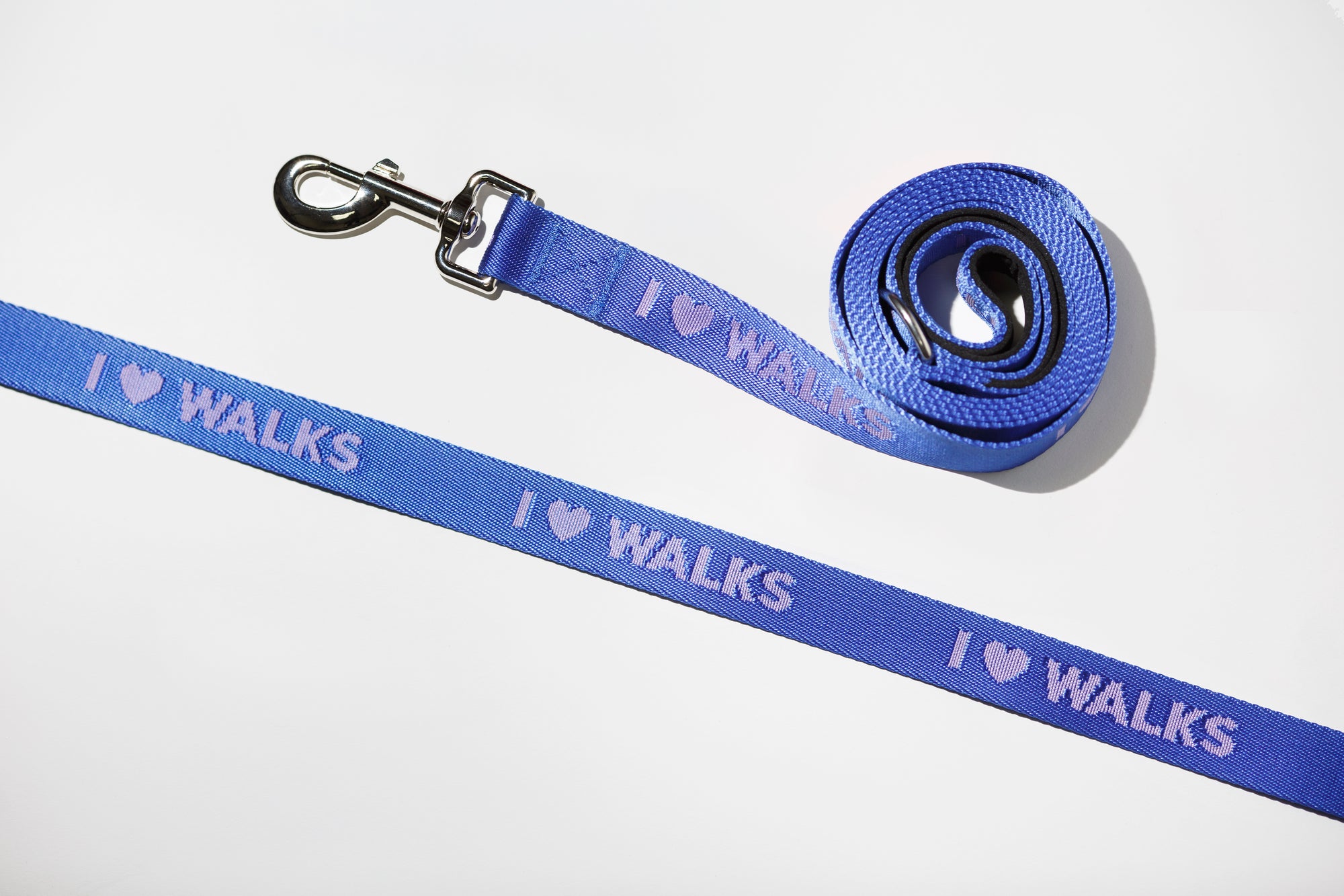 I Love Walks Dog Leash