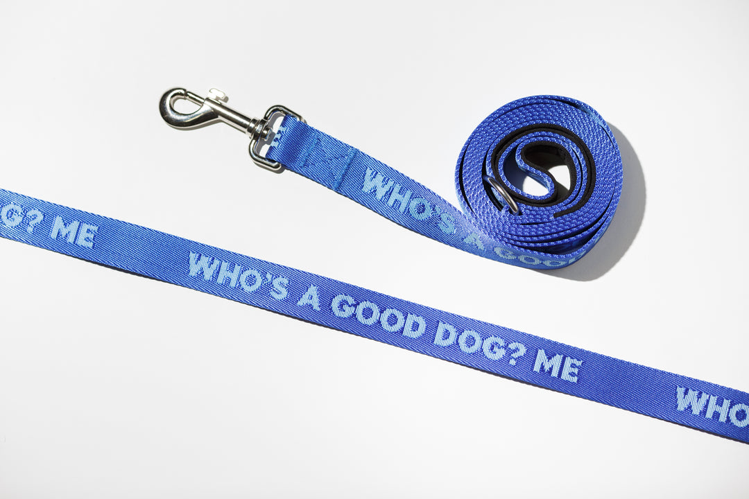 Good Dog Dog Leash