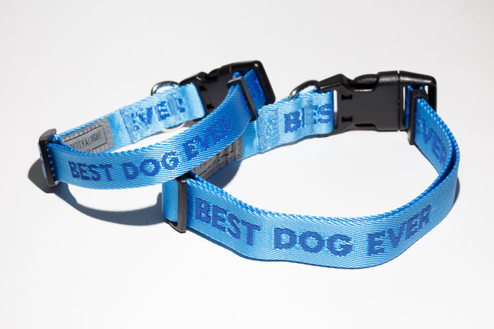 Best Dog Ever (Blue) Dog Collar