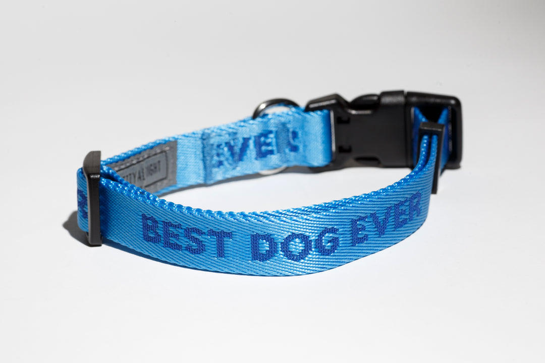 Best Dog Ever (Blue) Dog Collar