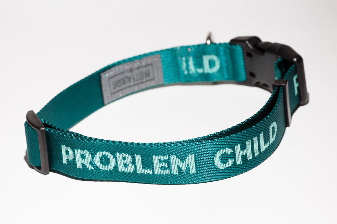 Problem Child (Teal) Dog Collar