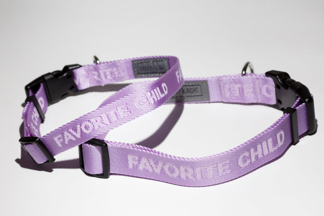 Favorite Child (lavender) Dog Collar