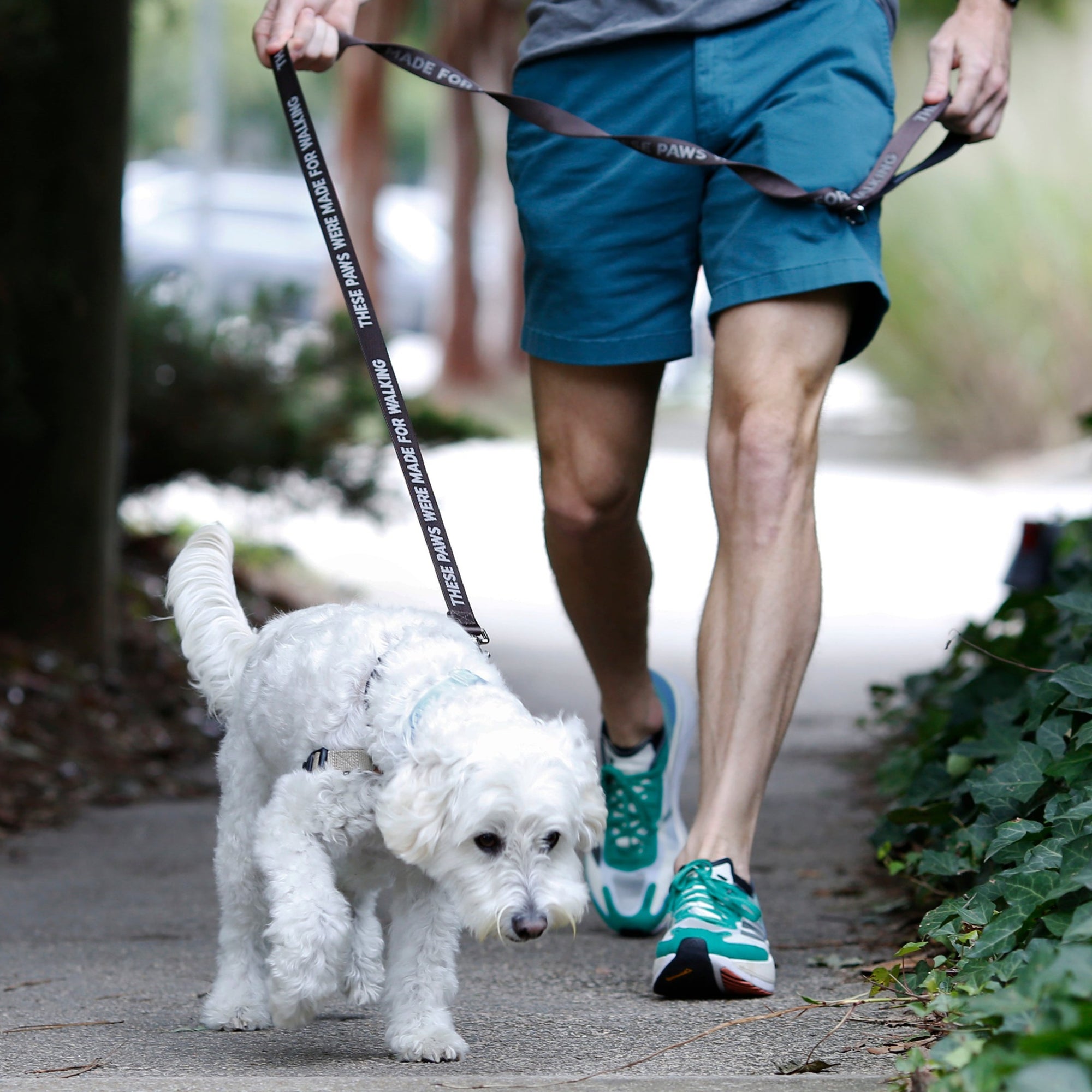 These Paws Dog Leash