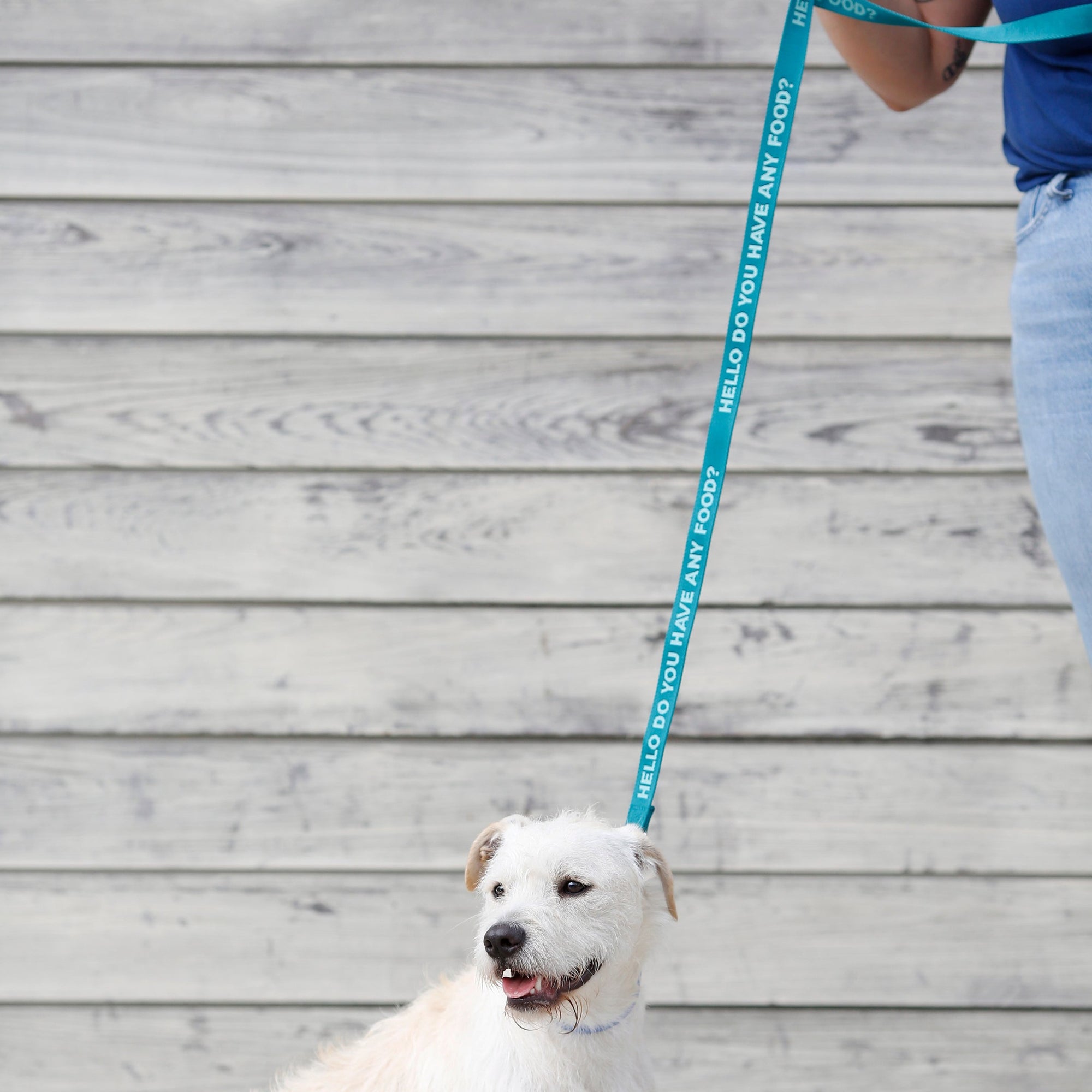 Any Food Dog Leash