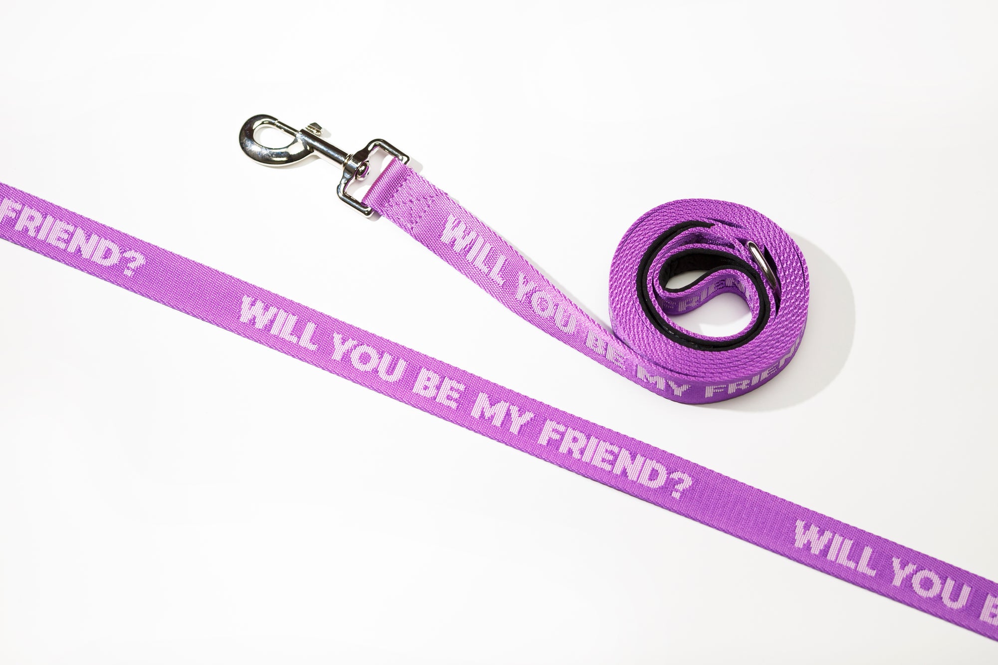 Be My Friend Dog Leash