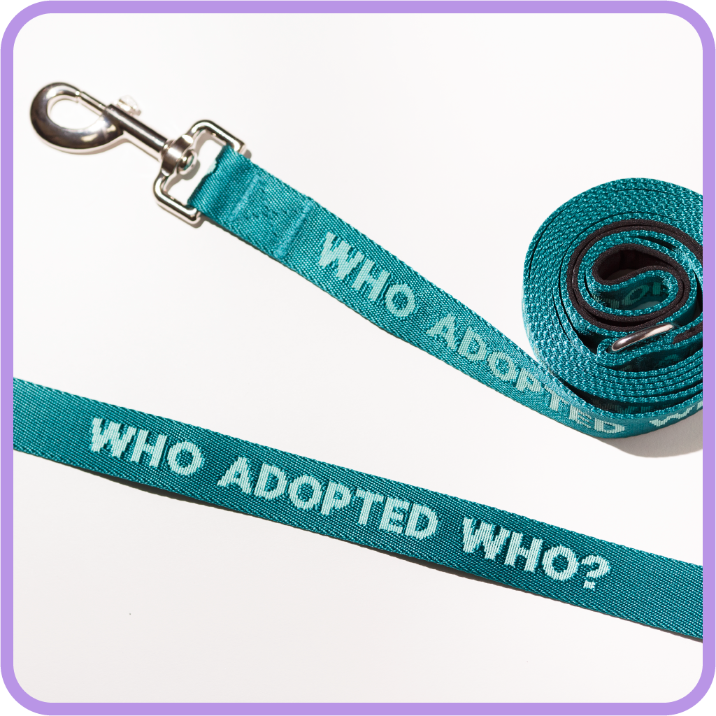 Adopted Who Dog Leash