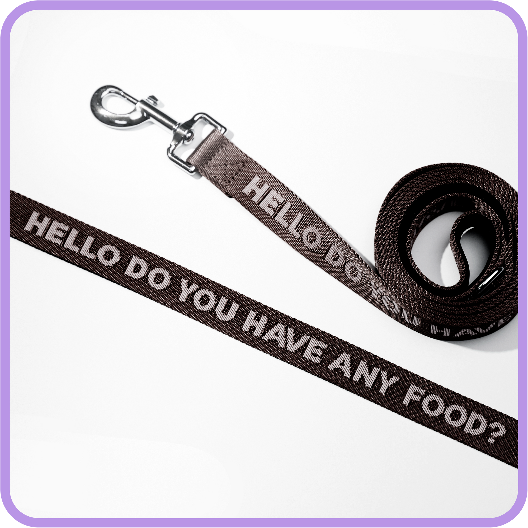 Any Food Dog Leash (Black)