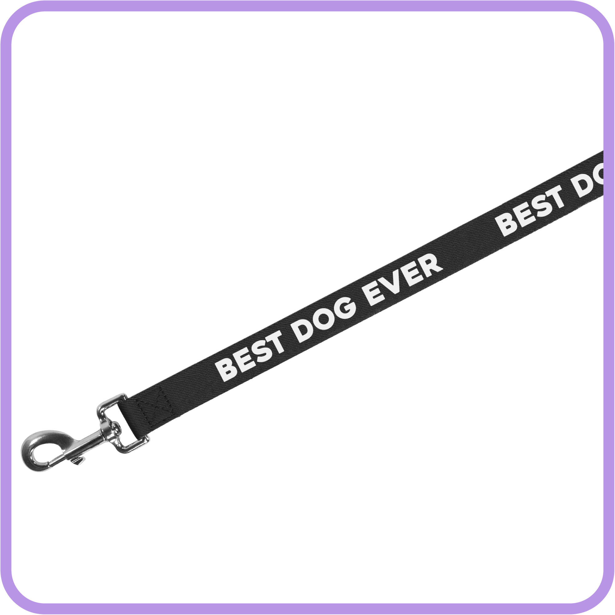 Best Dog Ever Dog Leash (Black)