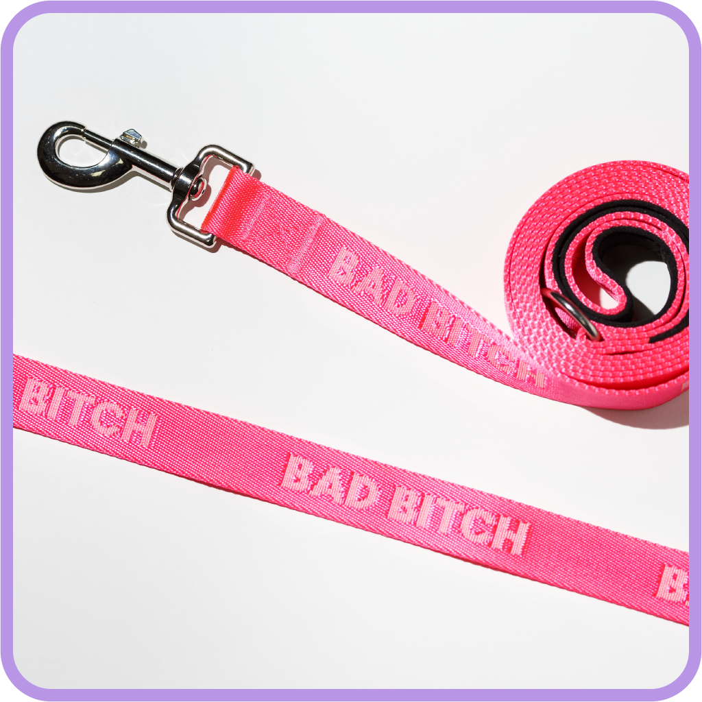 Bad Bitch Dog Leash