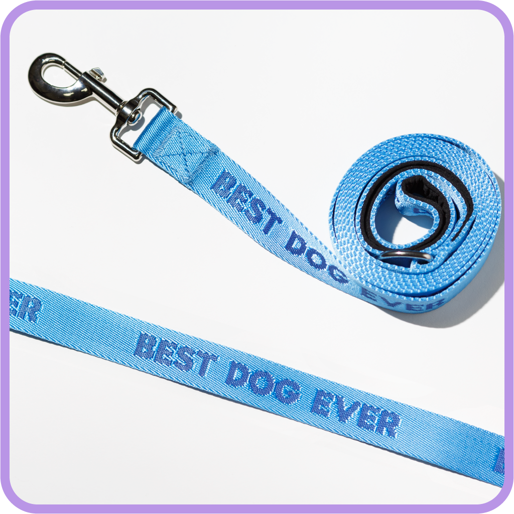 Best Dog Ever Dog Leash