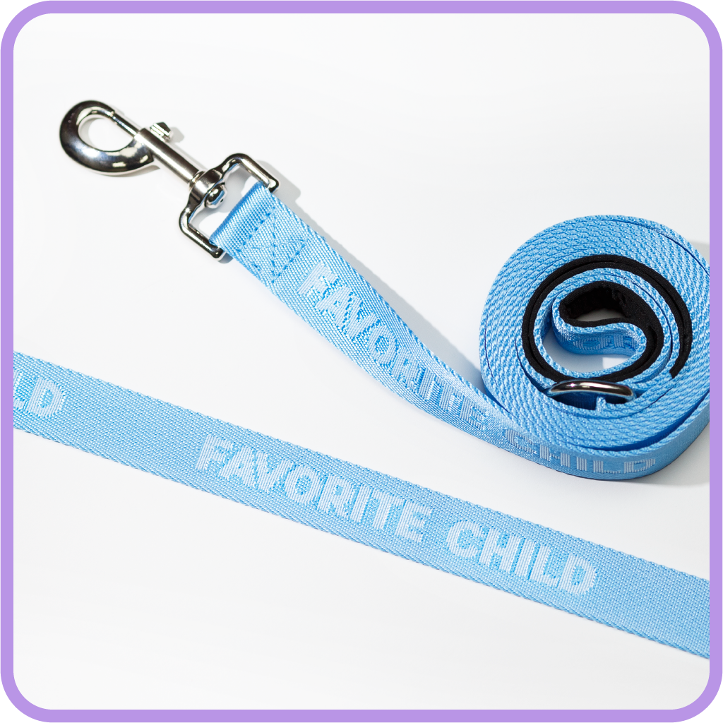 Favorite Child Dog Leash - Sky Blue
