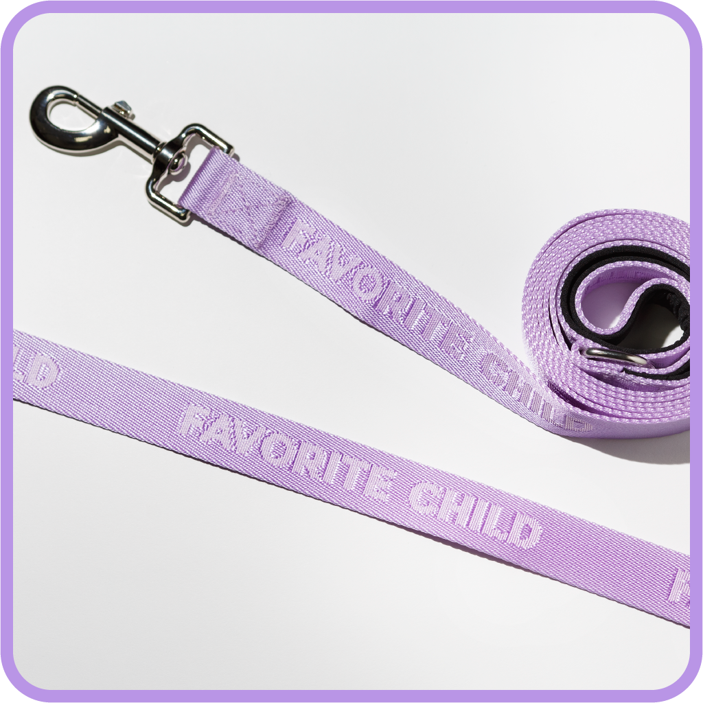 Favorite Child Dog Leash - Lavender