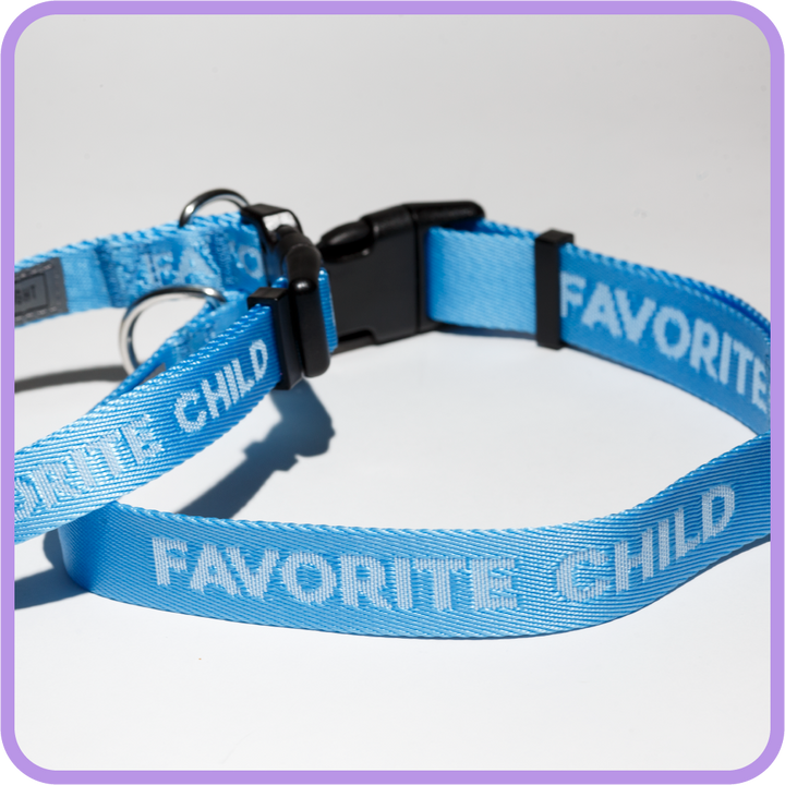 Favorite Child (Sky Blue) Dog Collar