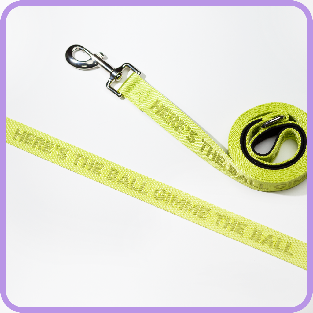 Give Me Ball Dog Leash