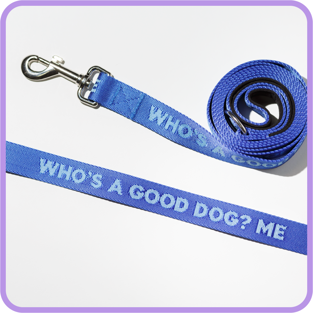 Good Dog Dog Leash