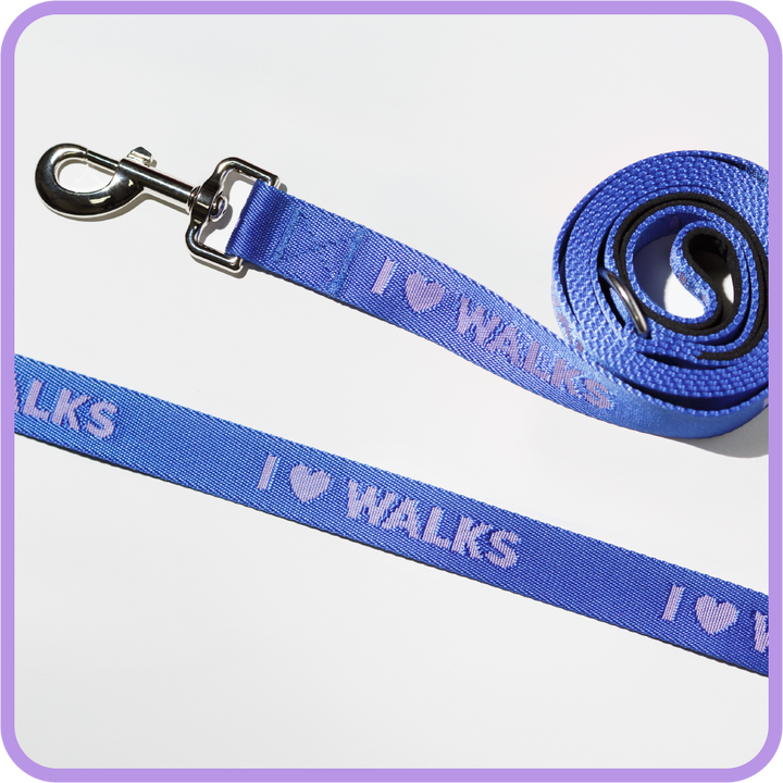 I Love Walks Dog Leash