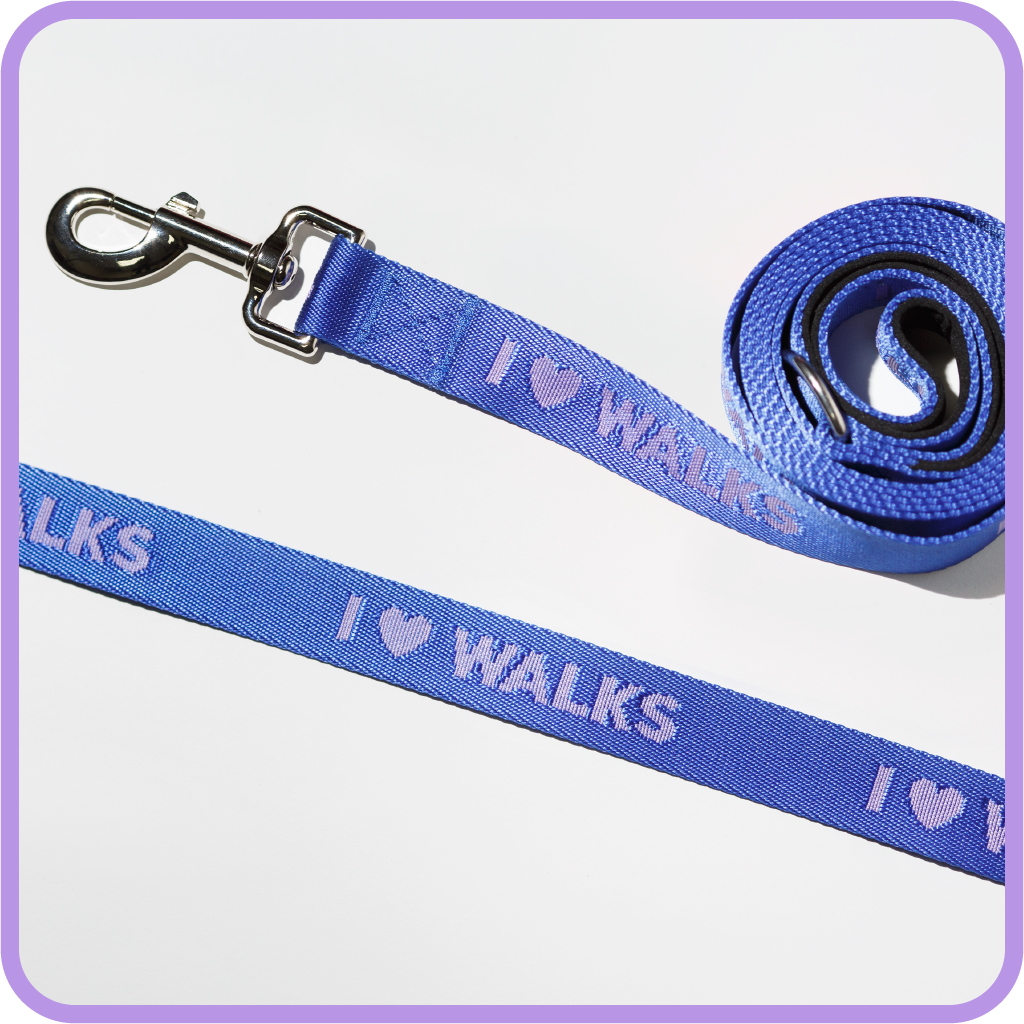 I Love Walks Dog Leash