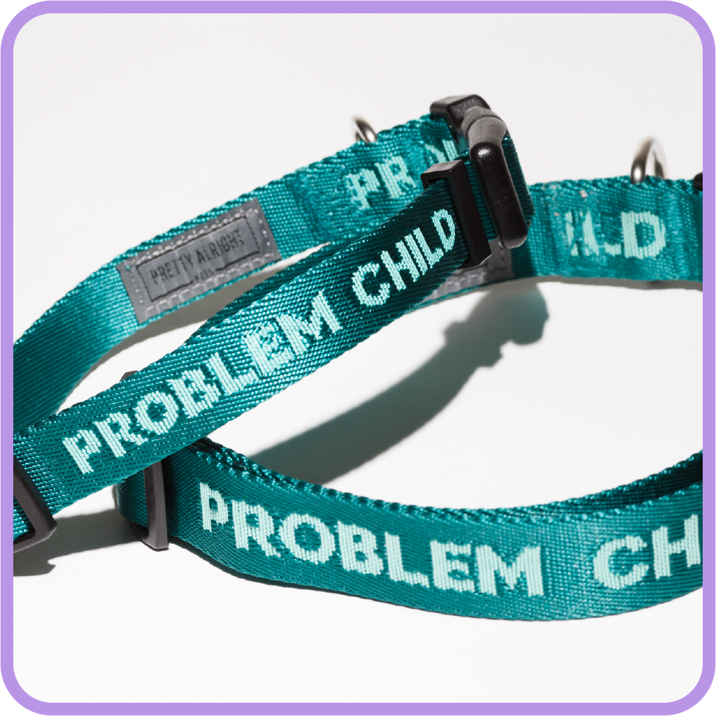 Problem Child (Teal) Dog Collar