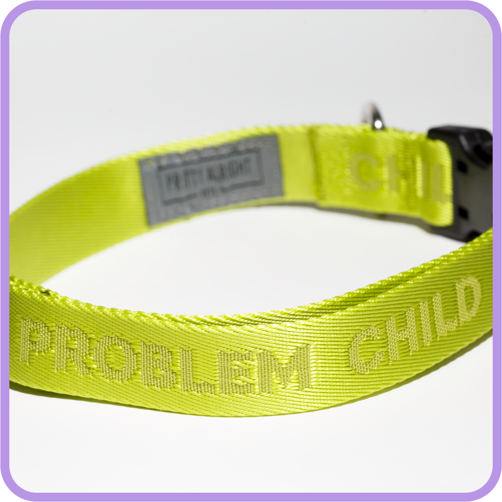 Problem Child (Tennis Ball Green) Dog Collar