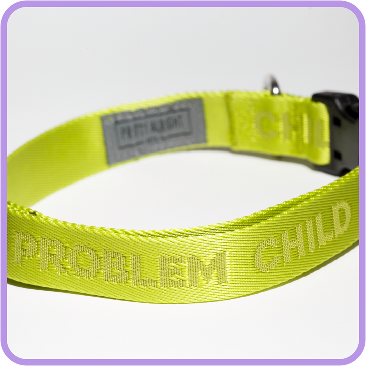 Problem Child (Tennis Ball Green) Dog Collar