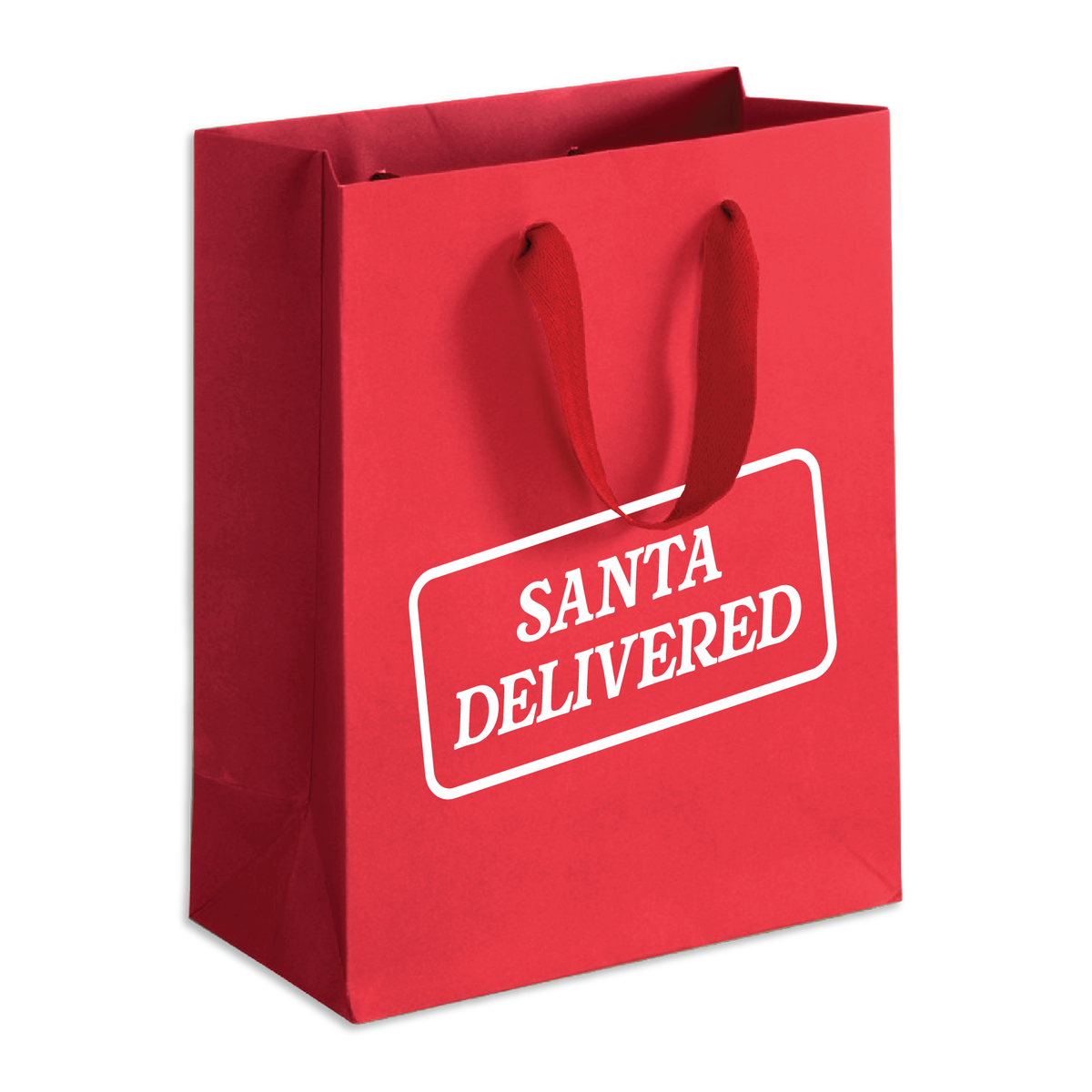 Santa Delivered Gift Bag