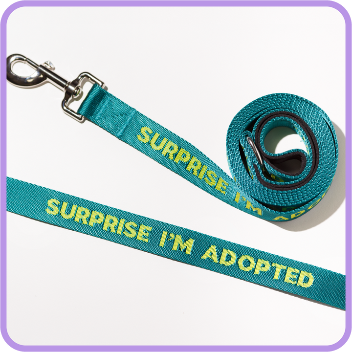 Surprise Adopted Dog Leash