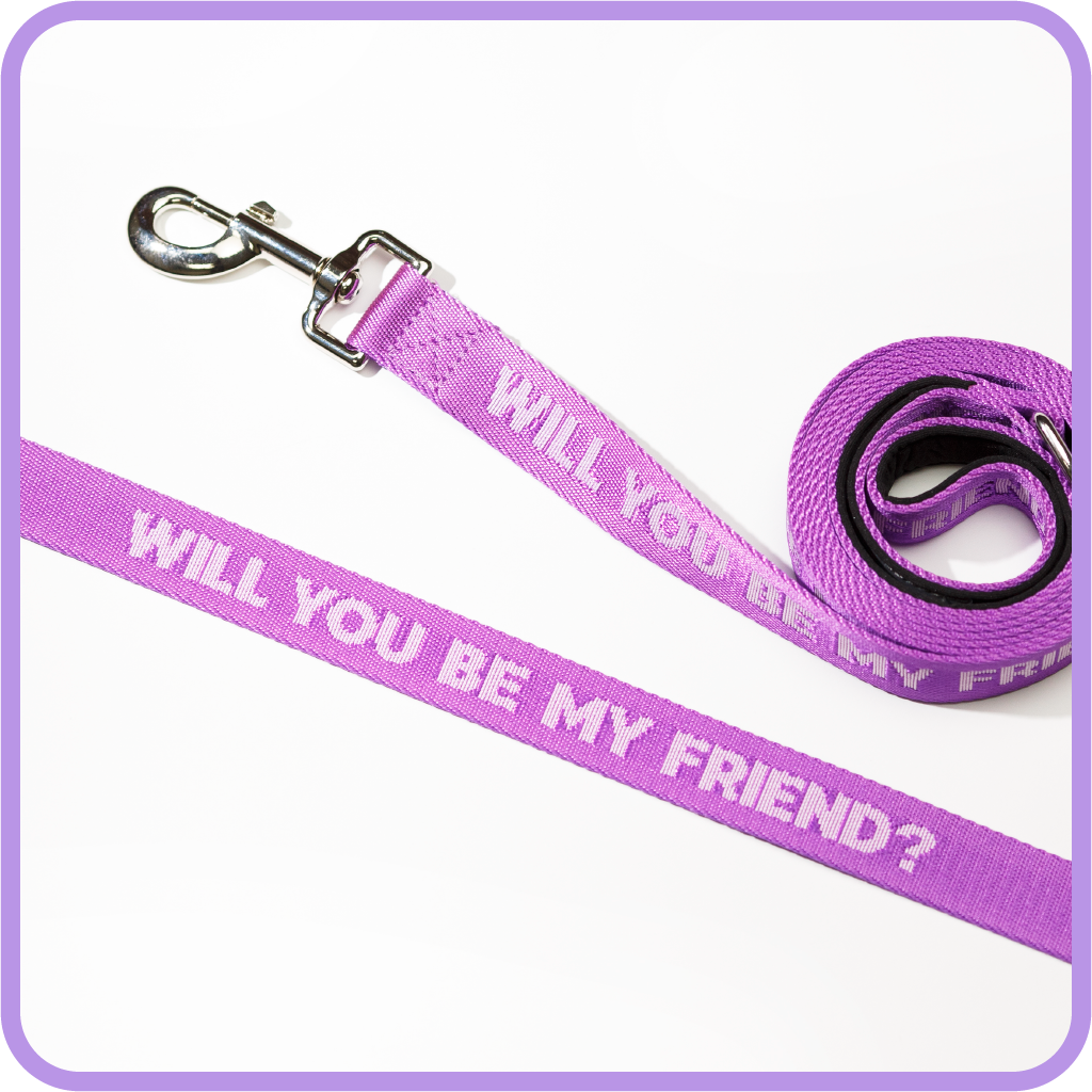 Be My Friend Dog Leash