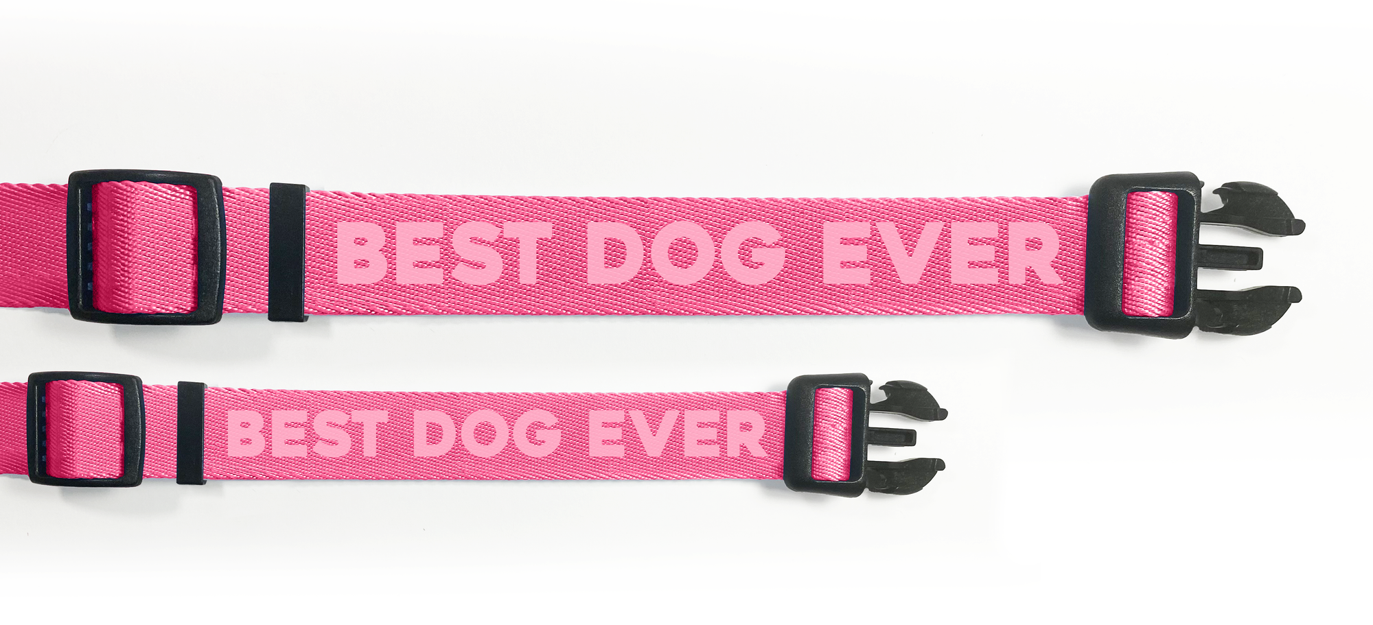Best Dog Ever (Pink) Dog Collar