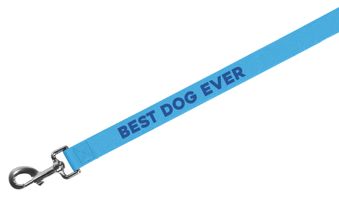 Best Dog Ever Dog Leash