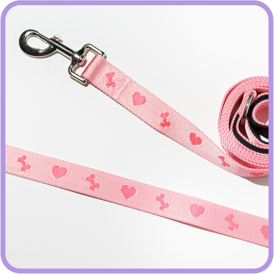 Bones & Hearts Dog Leash