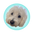 Pretty Alright Goods logo