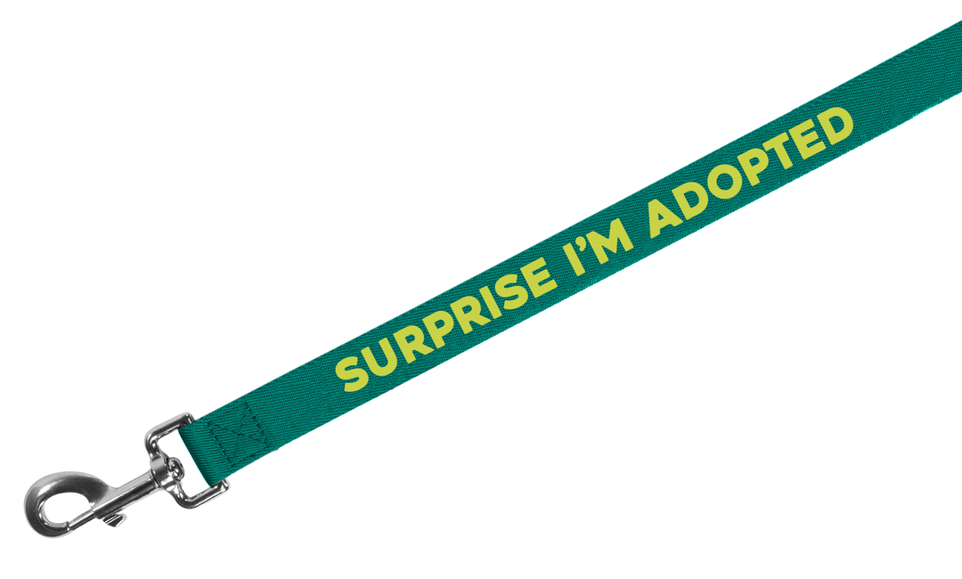 Surprise Adopted Dog Leash