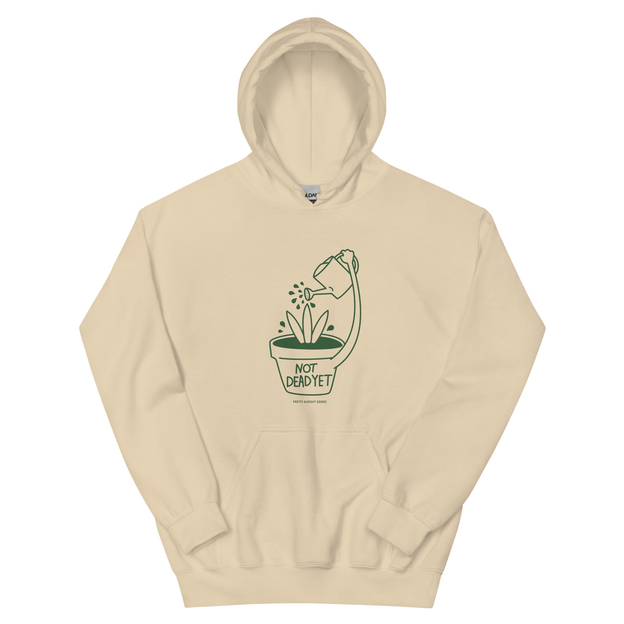 Self Care Plant Hoodie